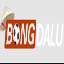 Bongdalu's avatar
